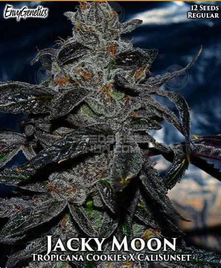 Get details and read the latest customer reviews about Jacky Moon Full Spectrum Cartridge 1g by Avitas on Leafly.. 