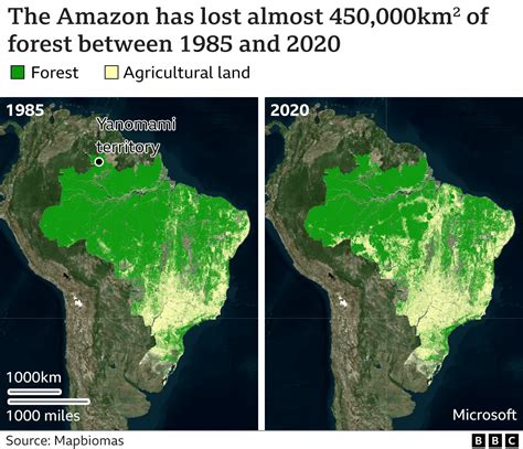 Jair Bolsonaro: The Amazon and why world is …