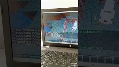 Jak przywołać/zespałnić polarnego lisa w minecraft - Onet.pl