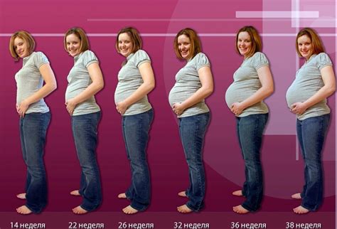 Jak rychle roste břicho při druhém těhotenství?