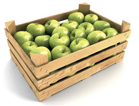 Jak se mají do přepravky ukládat jablka před jejich uskladněním do sklepa?