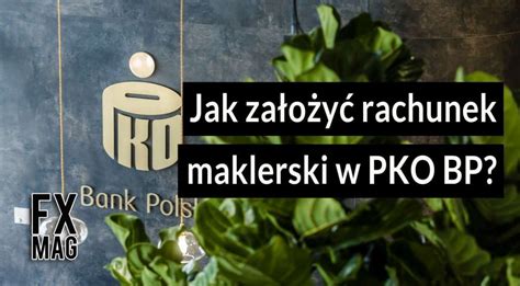 Jak założyć konto maklerskie w PKO BP? Najważniejsze ... - FXMAG