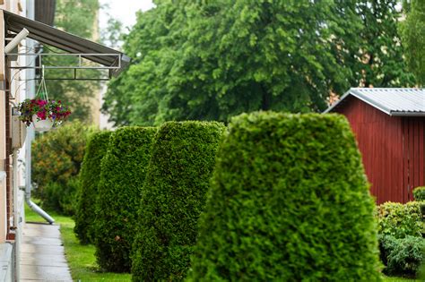 Jalaka Patreon Leaked +18 💦