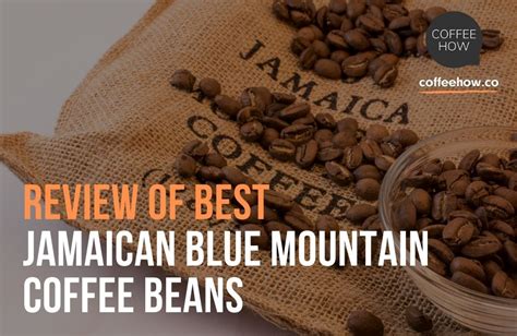 Jamaica Blue Mountain Coffee Beans - Bettys