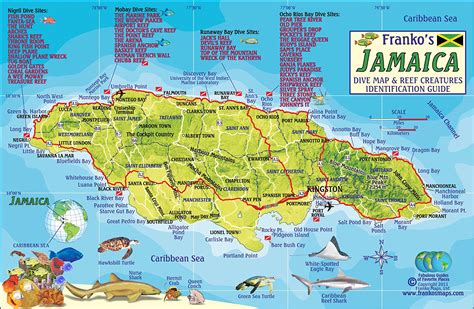Jamaica dive map and coral reef creatures guide franko maps laminated fish card. - Harquin el zorro que bajo al valle/harquin, the fox who went down to the valley.