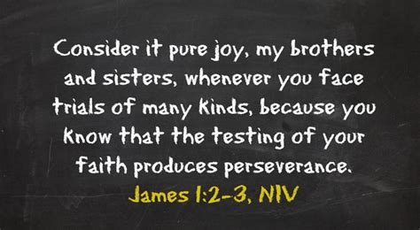 James 1 2 3 niv. James 1:2–4 — New International Reader’s Version (1998) (NIrV) 2 My brothers and sisters, you will face all kinds of trouble. When you do, think of it as pure joy. 3 Your faith will be put to the test. You know that when that happens it will produce in you the strength to continue. 4 The strength to keep going must be allowed to finish ... 