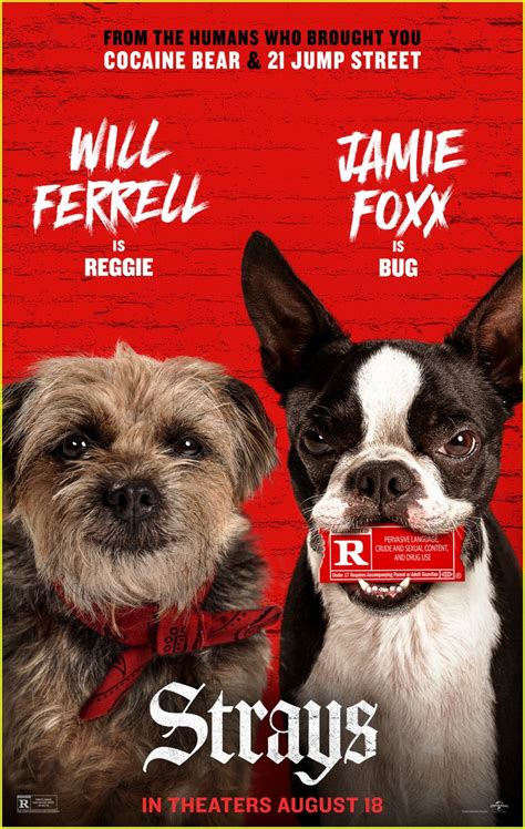 Jamie Foxx, Will Ferrell star as crazy canines in raunchy comedy ‘Strays’