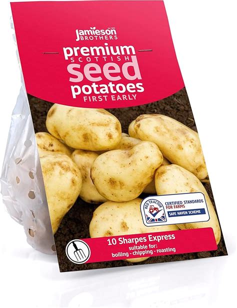 Jamieson Brothers 10 Tuber Sharpes Express Seed Potatoes