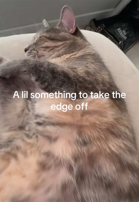 Jamithene1 Onlyfans Leaked XxX 🍆