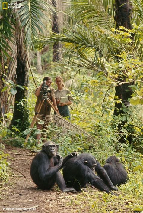 Jane Goodall Exhibition to Make Its Texas Debut at The Perot Museum …