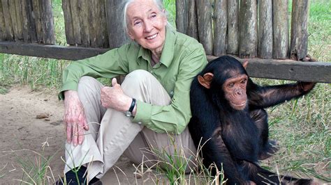 Jane goodall institute. The Jane Goodall Institute promotes understanding and protection of great apes and their habitat and builds on the legacy of Dr. Jane Goodall, our founder, to inspire individual … 