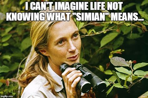 Jane goodall memes. Images tagged "jane goodall". Make your own images with our Meme Generator or Animated GIF Maker. 