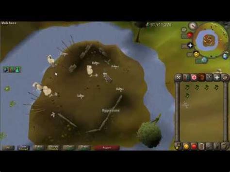 Strategies: 82 Slayer to kill. When the Grifolaroo yells Krrr! You can run around avoiding the fungal poison. Also when it says Hup! you can run a distance from it to farcast. This allows you to save food, and last longer. This Data was submitted by: VanNess, Triqaeon, Paulie J, LightBritez, sage on fire, mookie plipp, McSwindler, and Knasluvan92.. 