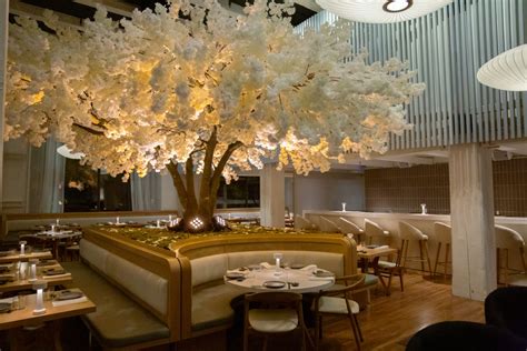 Janken portland. Janken. Pearl District. Portland restaurants weren't known for their glitz and glam—until Janken appeared on the scene in November in the former Bluehour space, complete with a giant faux cherry blossom tree. Helmed by chef Rodrigo Ochoa from Miami, the restaurant offers a fusion of Japanese, Chinese, and Korean dishes—hence the … 