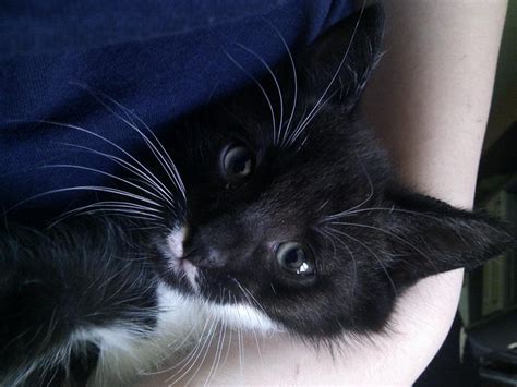 Jannnnna Leaked (SEX) 219 Photos