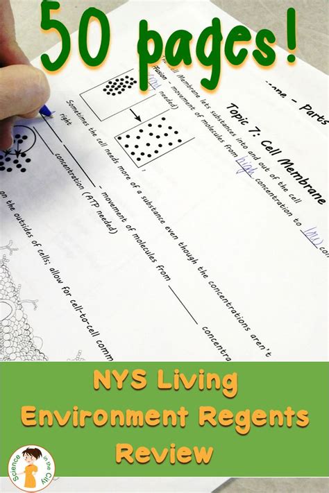 January 2023 living environment regents answers. Upco Living Environment Answer Key Pdf from myans.bhantedhammika.net In January 2023, the New York State Education Department administered the Living Environment Regents exam to high school students across the state. This exam is an important step for students looking to earn their high school diploma and continue on to college or other post-secondary education. One 