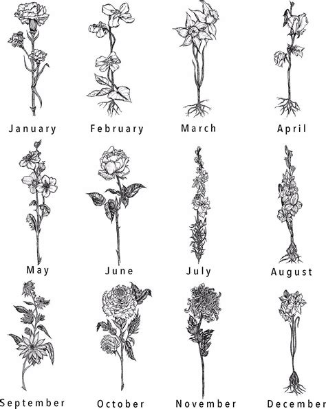 January and september birth flower tattoo. Express your love for the month of September with a stunning flower tattoo. Discover unique designs that symbolize the beauty and significance of this special time of year. 