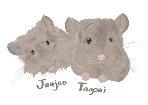 💋 Jaopui Leaks [SEX VIDEO] 72 Vids