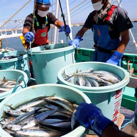 Japan announces emergency relief measures for seafood exporters hit by China’s ban