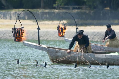 Japan fishing. 1 May 2023 ... Cormorant Fishing (Ukai). Ukai is a traditional fishing method which uses trained cormorants to catch river fish such as sweetfish (ayu). This ... 