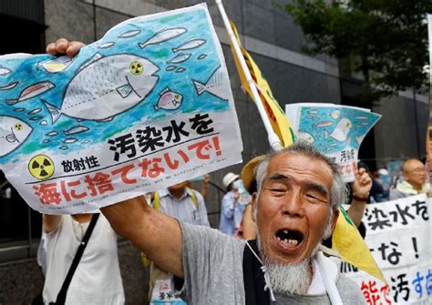 Japan hopes to resolve China’s seafood ban over Fukushima’s wastewater release within WTO’s scope