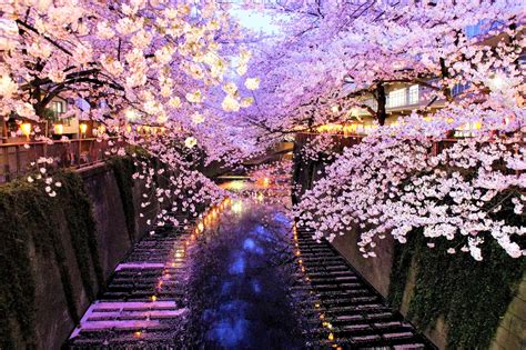Japan in april. What time of year is best to visit Japan? In short, you’ll have the best … 