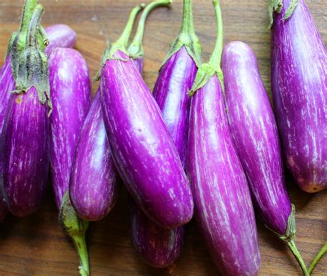 Japanese Eggplant & Soba Noodles with Taiwanese Bok Choy