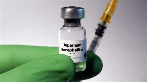 Japanese encephalitis vaccine cvs. Japanese encephalitis (JE) virus, a mosquito-borne flavivirus, is the most common cause of vaccine-preventable encephalitis in Asia. Among an estimated 67,000 annual cases, 20 to 30% of patients die and 30 to 50% of survivors have neurologic sequelae. 1-3 JE virus transmission occurs primarily in rural agricultural areas. In most temperate areas of Asia, JE is seasonal and large epidemics ... 