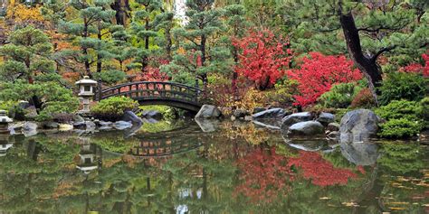 Japanese garden rockford. Skip to main content 