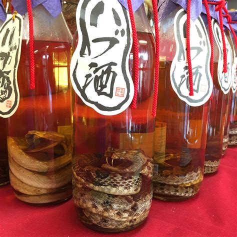 Japanese snake whiskey. Japanese snake tattoos trace their roots back to the ancient Jomon period, a time that began around 1800 years. Throughout Japanese culture and mythology, the snake has held a prominent place as a symbol of significance. In historical Japan, the snake was revered as a divine messenger, embodying luck, fertility, and protection. 