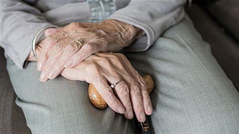 Japonya'da "yaşlıların yalnızlığına" çözüm aranıyor - Son Dakika Haberleri