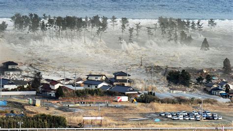 Japonya tusunamisi
