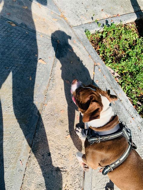 Jaqueline Gomez Onlyfans Leak [SEX VIDEO] 🍌 121 Vids