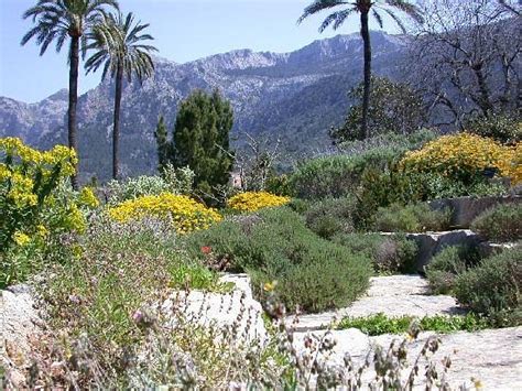 Jardín Botánico de Sóller (Soller) - All You Need to Know BEFORE …