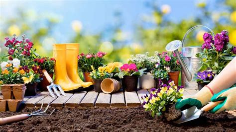 Jardinería una guía para principiantes de horticultura orgánica. - Compostura de munecas. sabado/ 12 inauguracion.