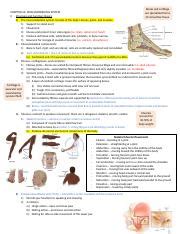 Chapter 23 JARVIS. 47 terms. GretelMM. Preview. Ortho Knee. 80 terms. kbk169. Preview. Amputation. 50 terms. sara_d_13. Preview. Terms in this set (52) ... The musculoskeletal system functions to encase and protect inner vital organs, support the body, produce red blood cells in the bone marrow, and store minerals. .... 