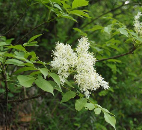 Profile picture of Jasen Deckow