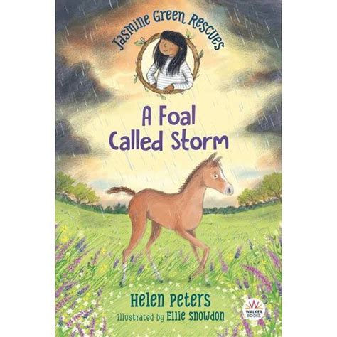 Jasmine Green Rescues A Foal Called Storm Chapter Sampler