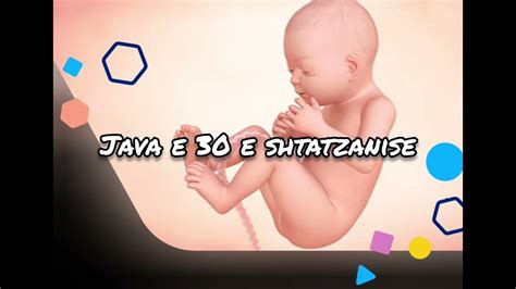 Java e 30.  Prandaj, java e 30 obstetrike e shtatzënisë shënon fillimi...