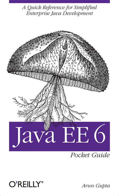 Java ee 6 pocket guide 1st edition. - Van de zomer naar de werkelijkheid.