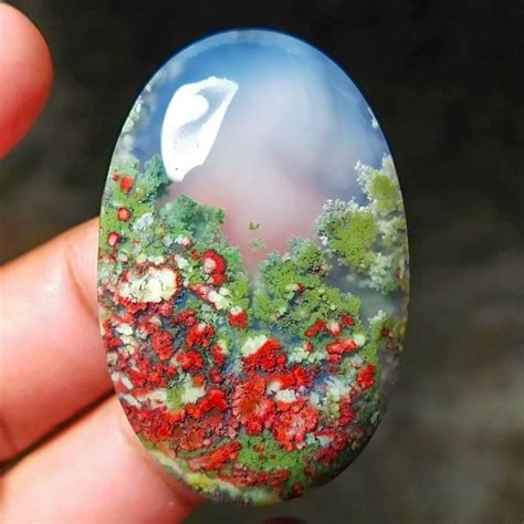 Java moss agate. Nov 20, 2019 · Dendritic agates such as the Moss Agate are difficult to cut due to the irregular patterning caused by their dendritic formations, which makes it more difficult to cut than a typical, banded agate. A common method of assessing the value and quality of agates is “The 4 Cs” method consisting of an assessment of the stone’s color, cut ... 