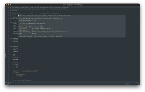 Javascript lsp neovim.  Next we need actual programming support. server_name), you The intentio...