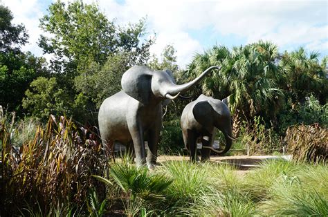 Jax zoo. Things To Know About Jax zoo. 
