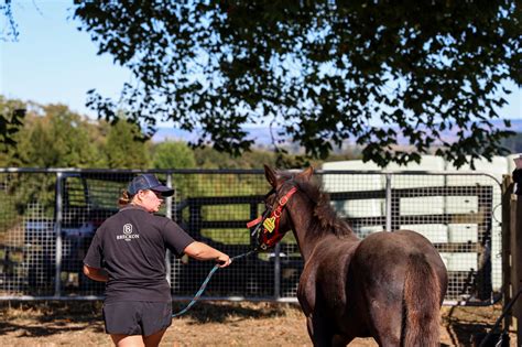 🍌 Jay Breckon Leaked [HD] 60 Photos