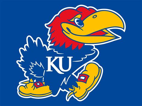 Traditions. History of the Jayhawk. Mascots are believed to bring good luck, especially to athletic teams. Just about every college and university claims a mascot. The University of Kansas is home to the Jayhawk, a mythical bird with a fascinating history. The origin of the Jayhawk is rooted in the historic struggles of Kansas settlers. . 