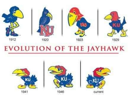 Jayhawk evolution. Each Evolution contains ALL 7 licensed historical mascot logos for the Kansas Jayhawks. Image is above the back mat casting a shadow and giving the appearance of being 3D. This item has a brass plate which says "Rock Chalk Jayhawk". The other version has a plate saying "Rock Chalk Jayhawk". Finished size: 37 5/8" x 9" 