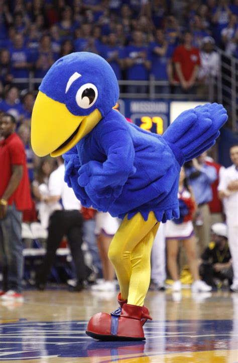Big Jay is one of the costume mascots of the Kansas Jayhawks. T
