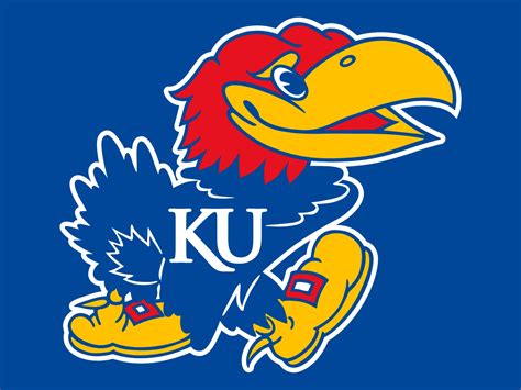 Kansas went 16-8 (8-4 Big 7) in the 1950-51 season, peaking at No. 10 in the AP poll. Three of the Jayhawks' eight losses came against top-10 opponents and their …. 