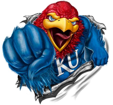 The "Angry Jayhawk" appeared in 1941 during World War II, and then Hal Sandy’s design in 1946. "There was a contest to kind of redesign the Jayhawk," Jackson said. "He submitted it and I believe .... 