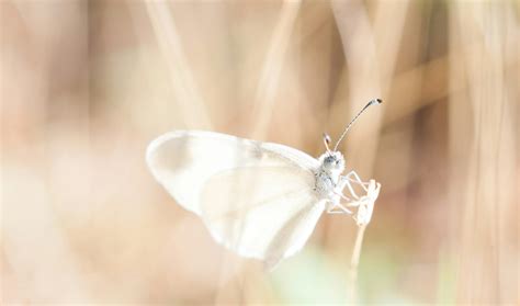 Jazzzberrry Leaks Onlyfans Leak [CLIP] 37 Pics